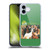 The Beach Boys Album Cover Art Pet Sounds Soft Gel Case for Apple iPhone 16 Plus
