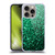 PLdesign Glitter Sparkles Emerald Green Soft Gel Case for Apple iPhone 16 Pro