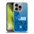 NFL Detroit Lions Graphics Coloured Marble Soft Gel Case for Apple iPhone 16 Pro