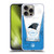 NFL Carolina Panthers Logo Art Banner Soft Gel Case for Apple iPhone 16 Pro Max