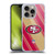 NFL San Francisco 49ers Artwork Stripes Soft Gel Case for Apple iPhone 16 Pro