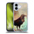 Jena DellaGrottaglia Animals Crow Soft Gel Case for Apple iPhone 16