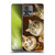 Michael David Ward Animals Fancy Cats Soft Gel Case for Motorola Moto Edge 30 Fusion