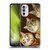Michael David Ward Animals Fancy Cats Soft Gel Case for Motorola Moto G52