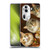 Michael David Ward Animals Fancy Cats Soft Gel Case for OPPO Reno11 Pro
