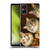 Michael David Ward Animals Fancy Cats Soft Gel Case for Sony Xperia 5 V 5G