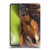 Laurie Prindle Western Stallion Flash Soft Gel Case for Samsung Galaxy M55 5G