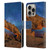 Royce Bair Nightscapes Sunset Arch Leather Book Wallet Case Cover For Apple iPhone 16 Pro