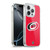 NHL Carolina Hurricanes Plain Soft Gel Case for Apple iPhone 16 Pro