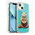 P.D. Moreno Furry Fun Artwork Sitting Cat Soft Gel Case for Apple iPhone 13