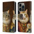 Michael David Ward Animals Fancy Cats Leather Book Wallet Case Cover For Apple iPhone 14 Pro