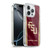 Florida State University FSU Florida State University Banner Soft Gel Case for Apple iPhone 16 Pro & MagSafe