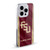 Florida State University FSU Florida State University Banner Soft Gel Case for Apple iPhone 16 Pro & MagSafe