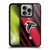 NFL Atlanta Falcons Artwork Stripes Gel Armour Case For Apple iPhone 16 Pro