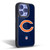 NFL Chicago Bears Logo Plain Gel Armour Case For Apple iPhone 14