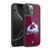 NHL Colorado Avalanche Net Pattern Gel Armour Case For Apple iPhone 16 Pro Max