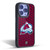 NHL Colorado Avalanche Net Pattern Gel Armour Case For Apple iPhone 16 Pro