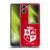 British and Irish Lions Badge Patterns Soft Gel Case for OPPO Find N2 Flip