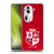 British and Irish Lions Badge Patterns Soft Gel Case for OPPO Reno11 Pro
