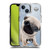 Animal Club International Icons Pug SHOCKPROOF BUMPER CASE COMPATIBLE WITH  & MAGSAFE Apple iPhone 14
