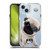 Animal Club International Icons Pug SHOCKPROOF BUMPER CASE COMPATIBLE WITH  & MAGSAFE Apple iPhone 14 Plus