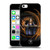 Anne Stokes Dragons 5 The Truth Soft Gel Case for Apple iPhone 5c