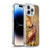 Anne Stokes Fairies Autumn Soft Gel Case for Apple iPhone 14 Pro Max