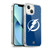 NHL Tampa Bay Lightning Net Pattern Soft Gel Case for Apple iPhone 13