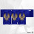 EA Bioware Dragon Age Heraldry Grey Wardens Gold Game Console Wrap and Game Controller Skin Bundle for Microsoft Series X Console & Controller