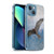 Simone Gatterwe Animals Flying Eagle Soft Gel Case for Apple iPhone 13 Mini & MagSafe