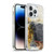 Michel Keck Religious Abstract Hebrews Soft Gel Case for Apple iPhone 13 Pro & MagSafe