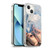 Simone Gatterwe Vintage And Steampunk Ballet Shoes Soft Gel Case for Apple iPhone 13