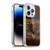 Simone Gatterwe Vintage And Steampunk Love Soft Gel Case for Apple iPhone 14 Pro & MagSafe