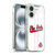 Ohio State University Jersey Baseball Home Soft Gel Case for Apple iPhone 16 & MagSafe