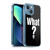WWE Steve Austin What? Soft Gel Case for Apple iPhone 13 Mini & MagSafe