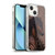 Simone Gatterwe Steampunk Horse Soft Gel Case for Apple iPhone 13