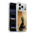 Stanley Morrison Art Egyptian Bastet Cat & Kittens Soft Gel Case for Apple iPhone 17 Pro Max