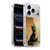 Stanley Morrison Art Egyptian Bastet Cat & Kittens Soft Gel Case for Apple iPhone 17 Pro