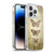 Brigid Ashwood Winged Things Specimens 1 Soft Gel Case for Apple iPhone 13 Pro & MagSafe