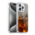 Duirwaigh God Phoenix Soft Gel Case for Apple iPhone 15 Pro & MagSafe