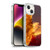 Tom Wood Fire Creatures Phoenix Soft Gel Case for Apple iPhone 14