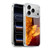 Tom Wood Fire Creatures Phoenix Soft Gel Case for Apple iPhone 17 Pro