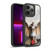 Anne Stokes Steampunk Aviator Gel Armour Case For Apple iPhone 13 Pro
