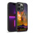 Dave Loblaw Animals Night Hawk Gel Armour Case For Apple iPhone 14 Pro