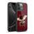 Fantastic Beasts And Where To Find Them Beasts Thunderbird Gel Armour Case For Apple iPhone 16 Pro Max