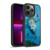 Dave Loblaw Sea Turtle Divers Gel Armour Case For Apple iPhone 13 Pro