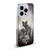 Alchemy Gothic Cats Paracelsus Soft Gel Case for Apple iPhone 17 Pro Max