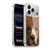Vincent Hie Big Face Dogs Cocker Spaniel Soft Gel Case for Apple iPhone 17 Pro Max