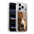 Vincent Hie Big Face Dogs Cocker Spaniel Soft Gel Case for Apple iPhone 17 Pro