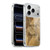 Grateful Dead Graphics Bear Vintage Soft Gel Case for Apple iPhone 17 Pro